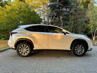 Lexus NX Series foto 7