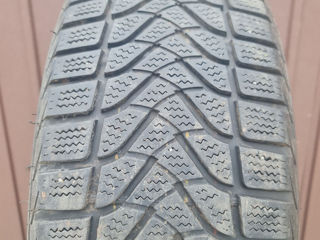 Комплект скатов Firestone 205/55/R16 всесезонная foto 2