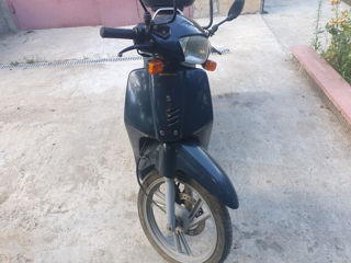 Honda Sh50 foto 4