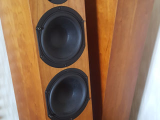 Audio Physic Tempo 3i (made in Germany) foto 5