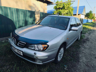 Nissan Primera