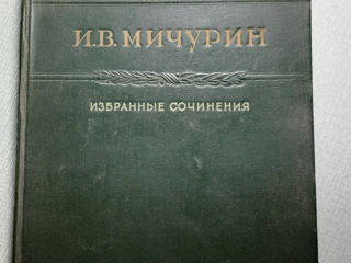 Книга  Мичурин