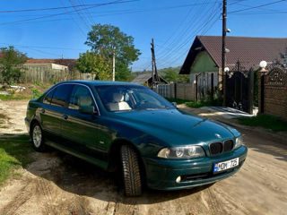 BMW 5 Series foto 4