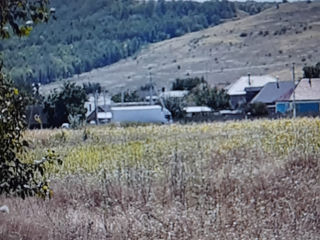 Vând teren agricol 14 ari, Bacioi, Brăila. foto 2