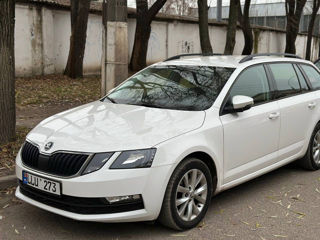 Skoda Octavia 2018. Chirie Auto Balti. Аренда машин Бельцы.