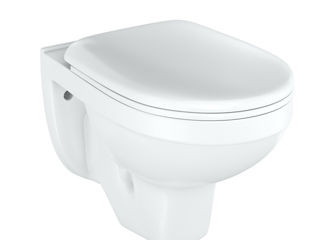 Wc-suspendat Closet suspendat cu capac microlift "RIO   / подвесной унитаз фото 1