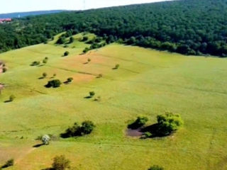 Hincesti 19 hectare pe un număr cadastral marginea orasului lingă pădure foto 13