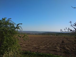 Отличный участок для благоустройства базы отдыха или престижных вилл. foto 4