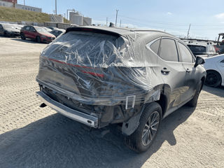 Lexus NX Series foto 3