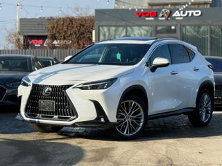 Lexus NX Series