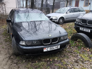 BMW 5 Series foto 7