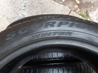 Pirelli Scorpion R21 275/45; R21 315/40 (Iarna/Зимняя) foto 4