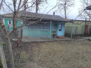 Продается дом foto 4