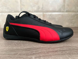 Puma noi foto 2