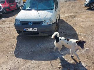 Volkswagen Caddy foto 2