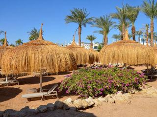 Swissotel Sharm El Sheikh Managed By Rixos Sharm El Sheikh 5* В Заливе Naama Bay! foto 10