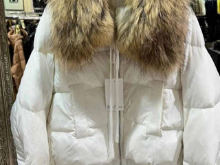 Max Mara Fendi Moncler