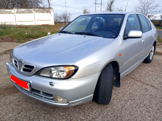 Nissan Primera foto 3