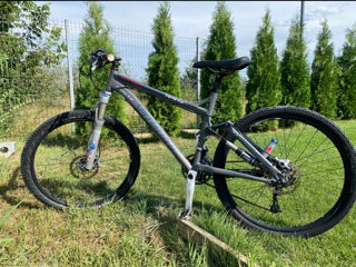 specialized M