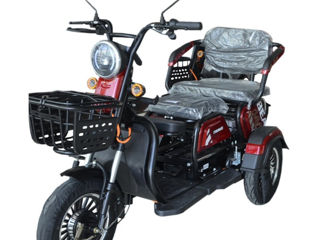 Tricicleta electrica TRE-1000