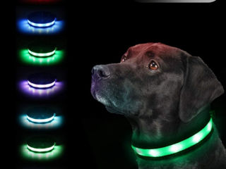 Zgardă pentru câine Pumila, Led mărimea M, Light, Small, Large dog - verde, foto 4