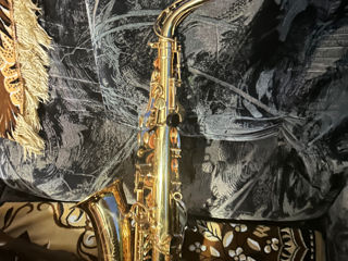 Saxofon alto Monzari