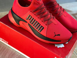 Puma original foto 1