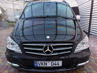 Mercedes Viano