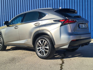 Lexus NX Series