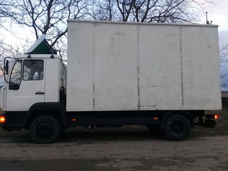 Man L 2000 foto 3