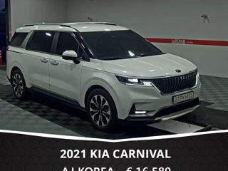 KIA Carnival foto 3