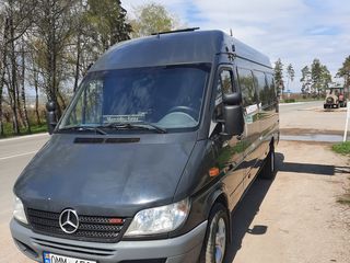 Mercedes Sprinter 313 foto 2