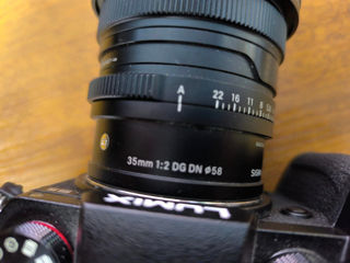 Panasonic s5 plus Sigma 35mm F2.0 foto 5