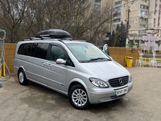 Mercedes Viano