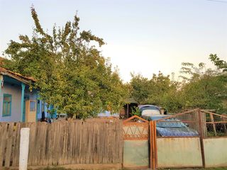 Casa in satul Tiganca situata pe 24 ari/sote: vita de vie + pomi fructiferi foto 10