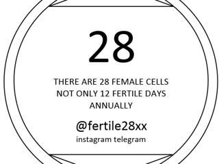 28 din 365 sau calculator de fertilitate pentru concepția naturală foto 1