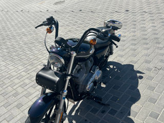 Harley - Davidson XL883 L foto 4