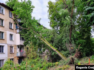 Interventii de urgenta in urma furtunii de aseara! Taiere copaci, crengi periculoase! foto 3