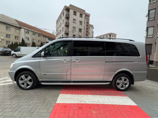 Mercedes Viano foto 7