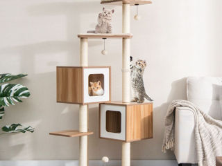Complex  de pisici modern din lemn
