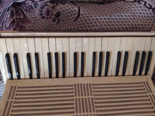 Hohner verdi 3 B foto 4