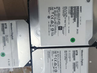 Hard Disk 8000GB