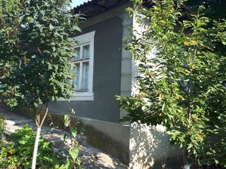 Vind casa in Telenesti foto 2