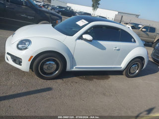 Volkswagen Beetle foto 3