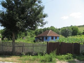 Se vinde casa 2-odai, teren 0,11 ha, satul Camencea, comuna Donici foto 3