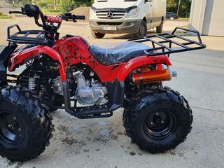 Altă marcă ATV  Endys 125cc foto 5