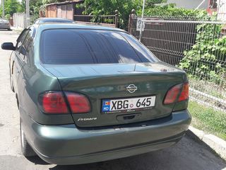 Nissan Primera foto 5