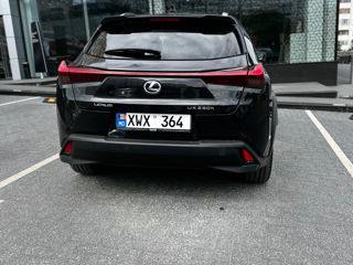 Lexus UX foto 4