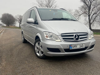 Mercedes Viano foto 3