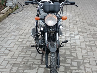 Alpha Moto gherakl lx 50